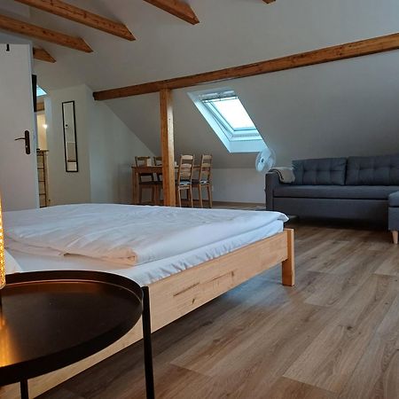 Loft Apartment Karlovy Vary Exteriér fotografie