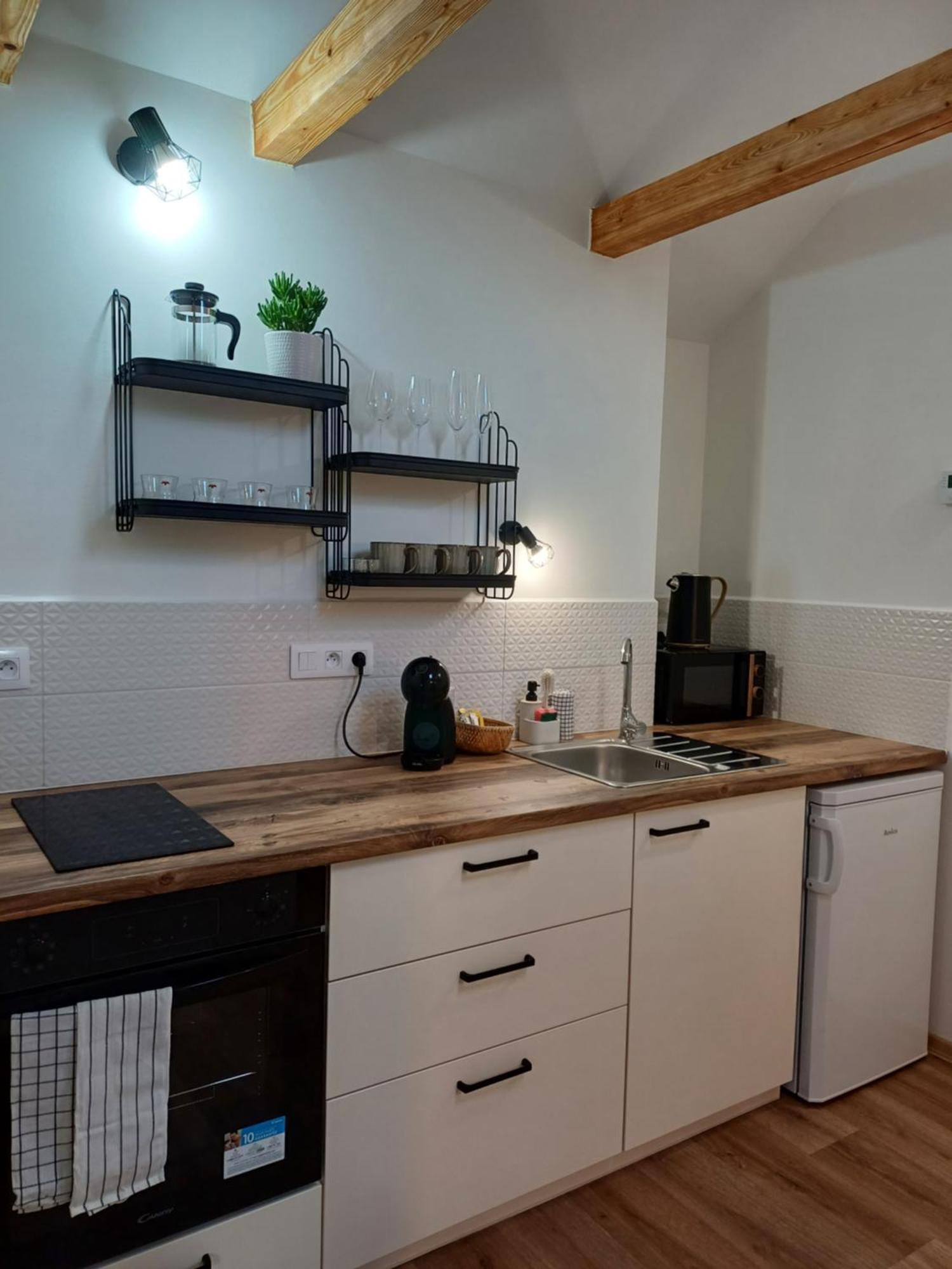 Loft Apartment Karlovy Vary Exteriér fotografie
