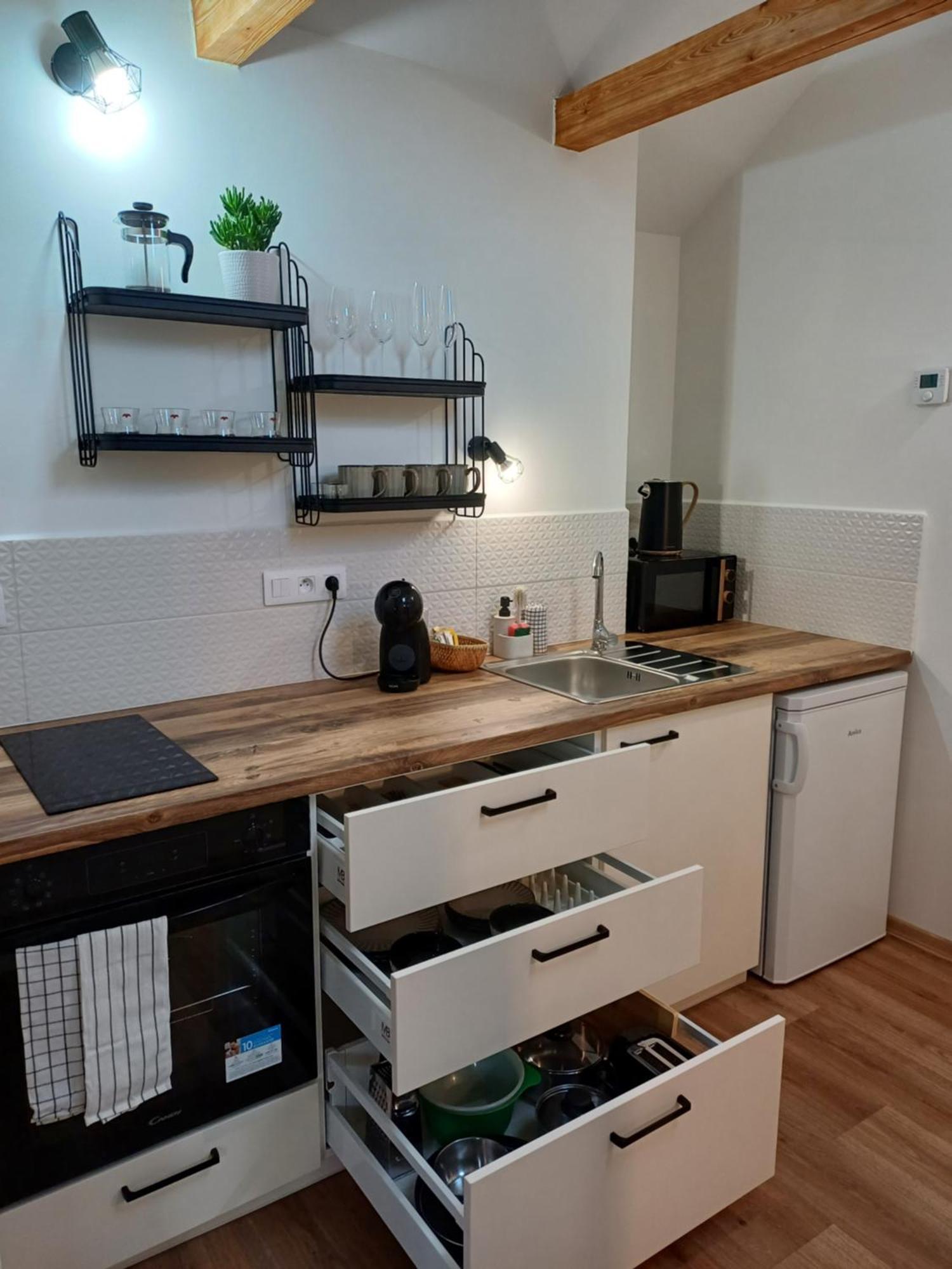 Loft Apartment Karlovy Vary Exteriér fotografie